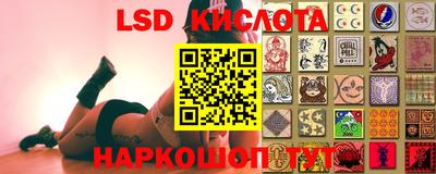 крисы Гагарин