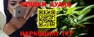 амф Гатчина