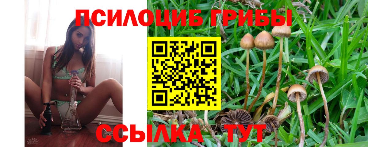 Галлюциногенные грибы Cubensis  Вход с VPN  Буйнакск  Псилоцибиновые грибы Cubensis 
