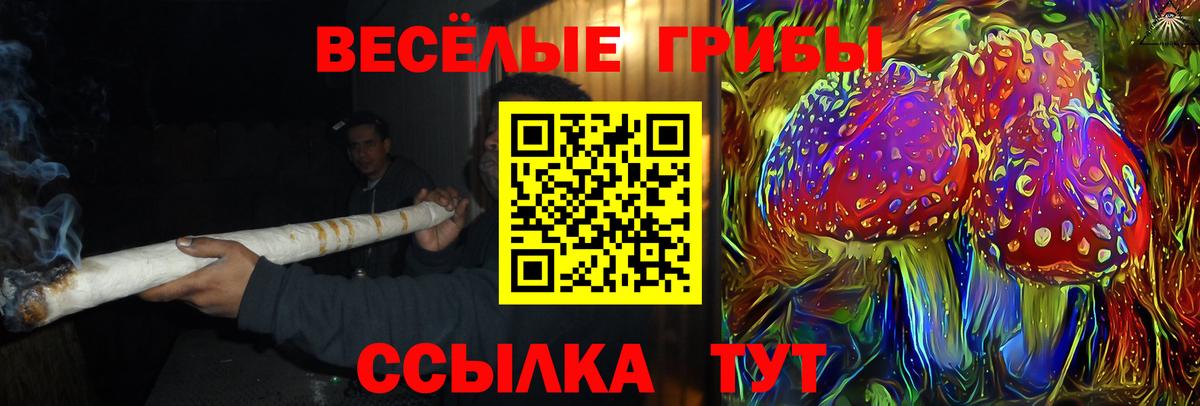 Псилоцибиновые грибы мицелий Буйнакск