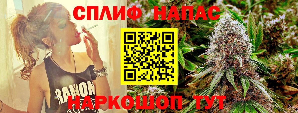Бошки Шишки White Widow  Вход с VPN  Канабис THC 21%  Буйнакск  Конопля THC 21% 